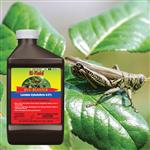 34695 Bug Blaster Lambda 32 oz lifestyle image